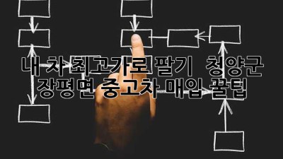 내 차 최고가로 팔기! 🚗 청양군 장평면 중고차 매입 꿀팁