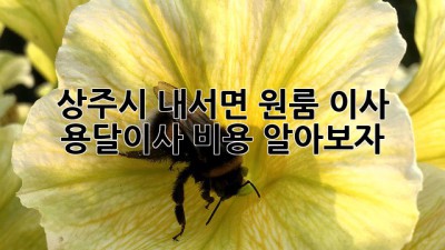상주시 내서면 원룸 이사? 용달이사 비용 알아보자!